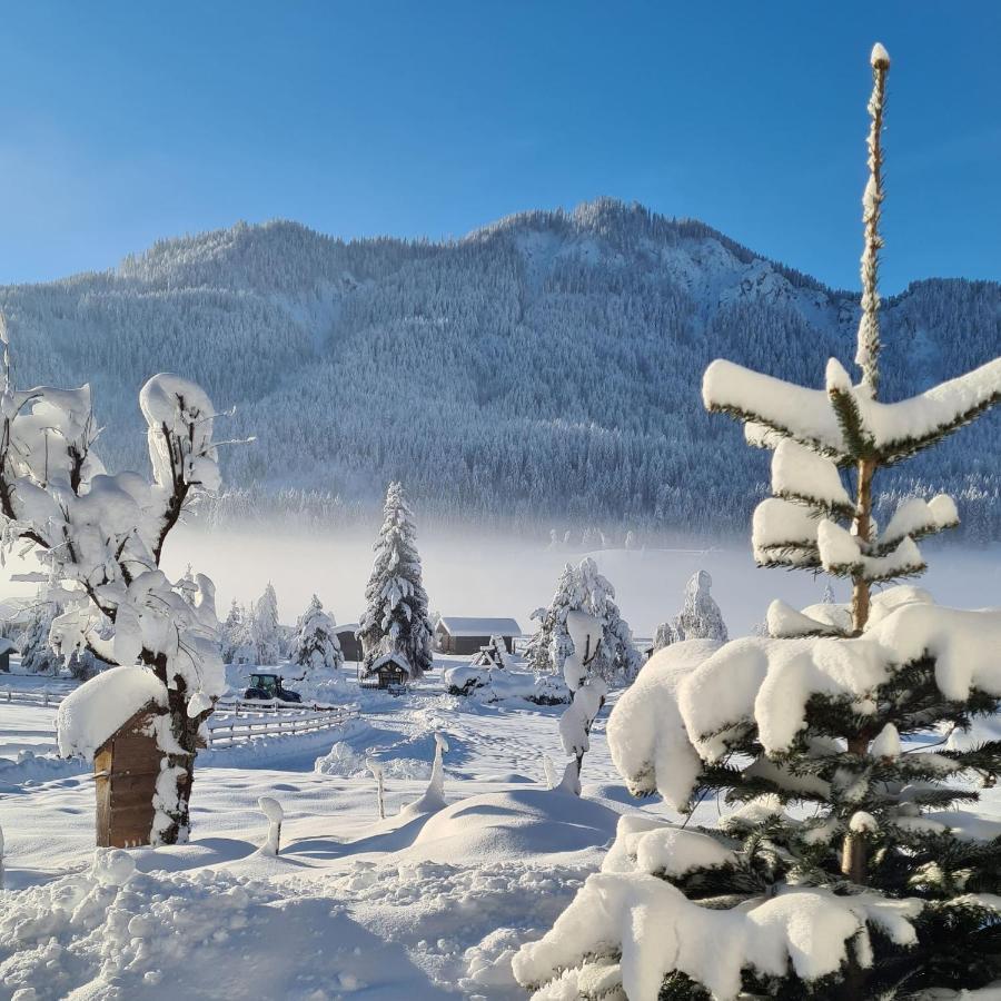 Hotel Winkler-Tuschnig Weissensee Ngoại thất bức ảnh